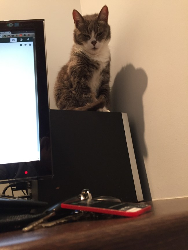 %e7%85%a7%e7%89%87-16-9-8-%e4%b8%8b%e5%8d%887-41-30